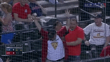 ari GIF by MLB
