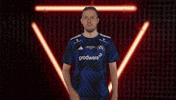 Proud Hamburger Sv GIF by Bundesliga