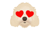 Heart Eyes Love Sticker by zoopeez