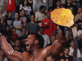 wwe sports wwe wrestling 2001 GIF