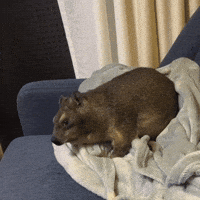 Yo What GIF