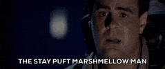 GIF by Ghostbusters 