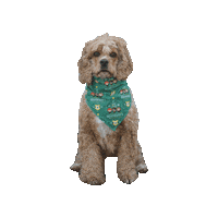 Cocker Spaniel Dog Sticker by Geekster Pets