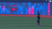 Blue Jays Dancing GIF by Toronto Blue Jays