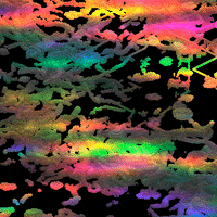 colours GIF by XCOPY