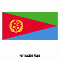 Flag Pixel Art GIF by Formación Ninja