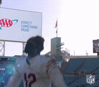 Regular Season Football GIF by NFL