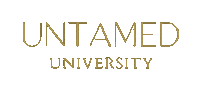 University Taylor Sticker by iamtaylorsimpson