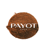 payotrussia payotsunny Sticker by Payot