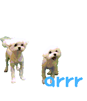 아르르 Sticker by arrr_official