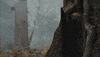 winnie the pooh GIF by Walt Disney Studios