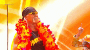 Wwe Wrestling GIF by USA Network