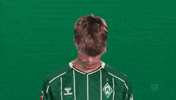 Werder Bremen GIF by Bundesliga