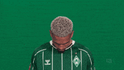 Werder Bremen GIF by Bundesliga