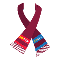 venezuela vinotinto Sticker by Subway Colombia