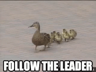 Follow GIF by memecandy