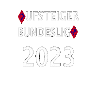 Bundesliga Bsv Sticker by Blumenthaler SV von 1919 e.V.