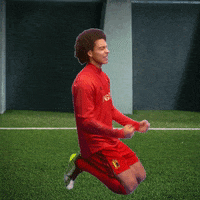 Red Devils Celebration GIF by ING Belgium