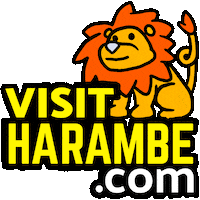 Dak Jambo Sticker by Motley Kingdom