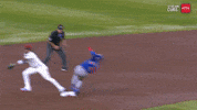 Chicago Cubs Mlb GIF by TheDreamTeam 