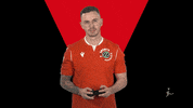 Hannover 96 Fifa GIF by Bundesliga