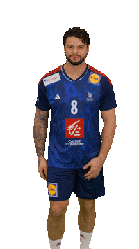 Ffhandball Sticker by Fédération Française de Handball