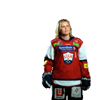 Lillehammerik Sticker by Lillehammer Ishockeyklubb