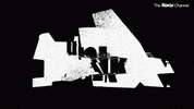 Punkd GIF by The Roku Channel