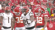 Winning Nfl Playoffs GIF by NFL