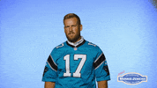 Carolina Panthers What GIF by morrisjenkins