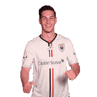 FCAarau fcaarau jankronig kronig Sticker