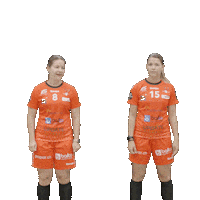 RedAntsWinterthur jump check 2023 nicole Sticker