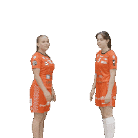 RedAntsWinterthur 2023 daria jill nicetry Sticker