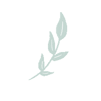 limberlyngarcia aesthetic plant plants leaf Sticker