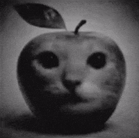 Serious Black And White GIF