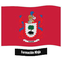 Flag Spain Sticker by Formación Ninja