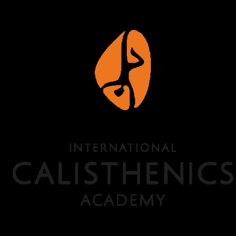 calisthenics-academy calisthenics calisthenicsacademy internationalcalisthenics GIF