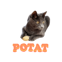 rpm_mcdonald cat animation happybirthday milton Sticker