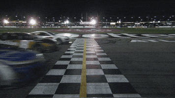 Kyle Busch Sport GIF by NASCAR