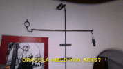 fun laugh GIF by tlc_nl