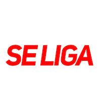 Seliga Sticker by Single Love
