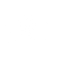 Art Flower Sticker by Zettje in de goede richting