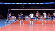 Attack Wow GIF by Volleyball World