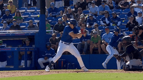 Blue Jays Mlb GIF by Toronto Blue Jays