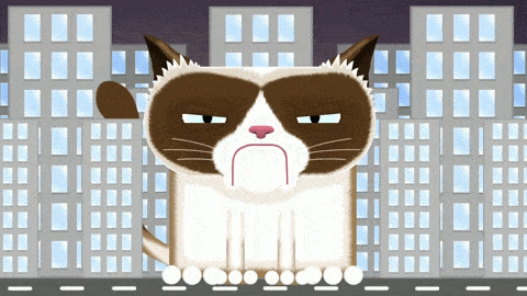 grumpy cat GIF by Channel Frederator