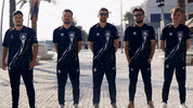 G2 Esports Team GIF by BLAST