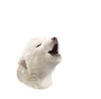 Howling Dire Wolf Sticker by Colossal