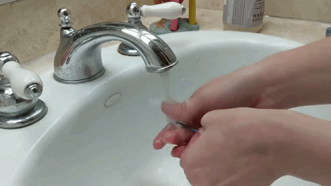 rohepak1 giphygifmaker rohepak1 GIF