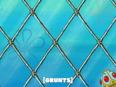 season 5 GIF by SpongeBob SquarePants