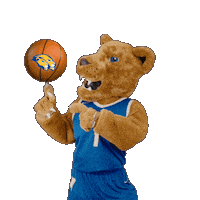 New York Basketball Sticker by Hofstra University